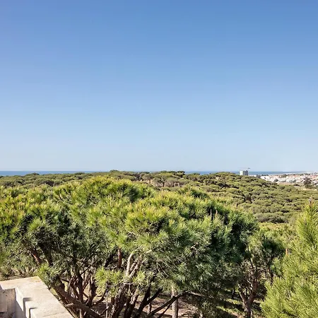 Mi Casa Es Tu Casa Villa